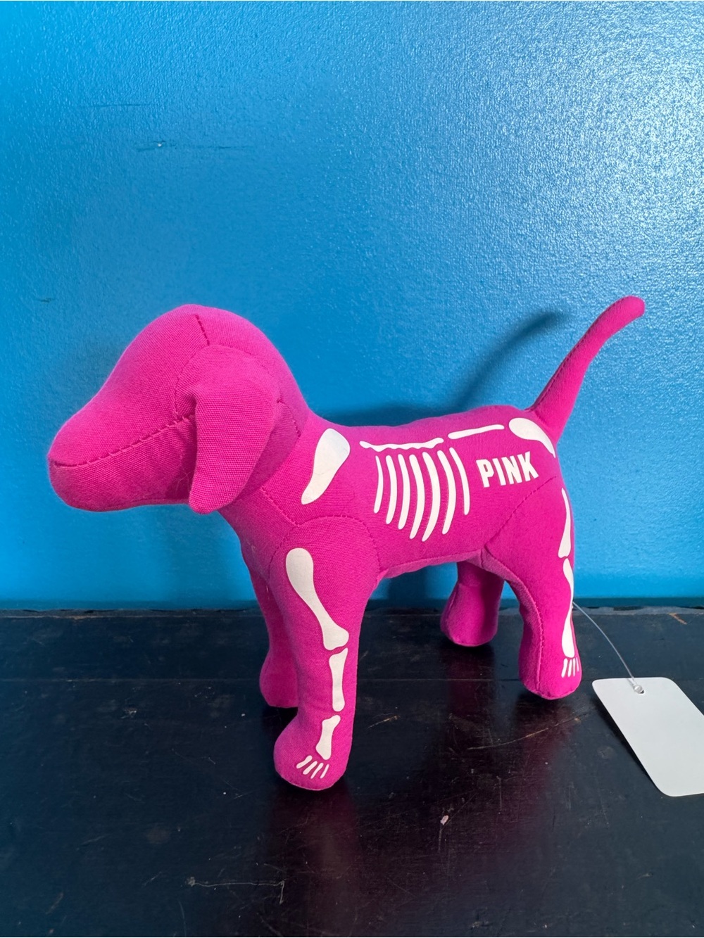 PINK Victoria’s Secret 2023 Holiday Collection Dog